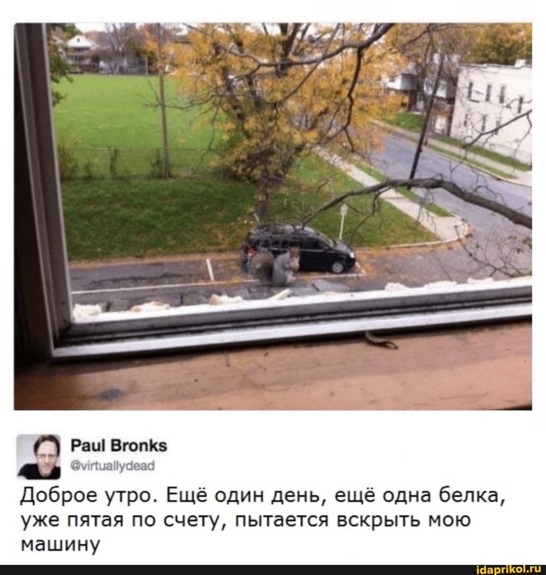 Раш Вгопк$
Доброе утро. Ещё один день, ещё одна белка, уже пятая по счету, пытается вскрыть мою машину