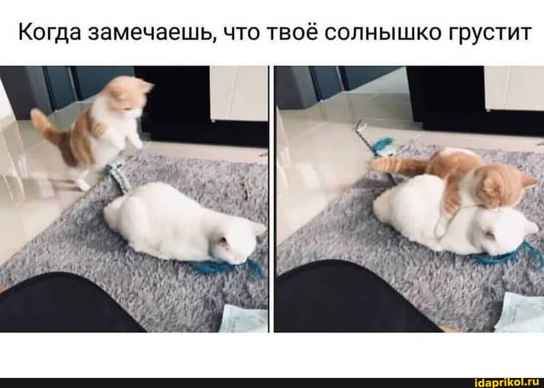 Когда замечаешь, что твоё солнышко грустит