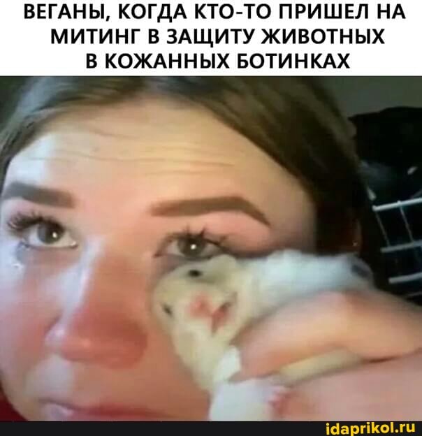 ВЕГАНЫ, КОГДА КТО-ТО ПРИШЕЛ НА МИТИНГ В ЗАЩИТУ ЖИВОТНЫХ В КОЖАННЫХ БОТИНКАХ