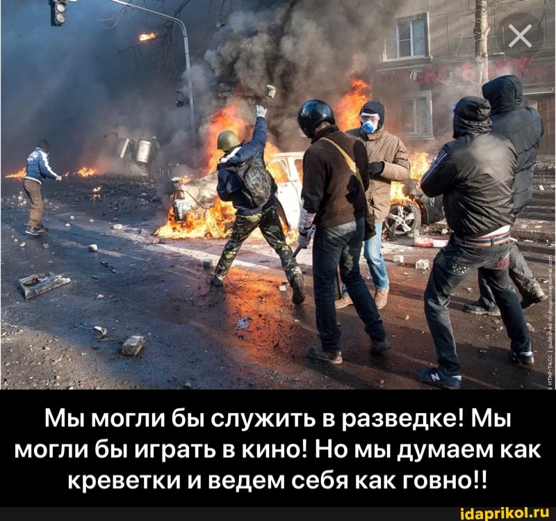 Мы могли бы служить в разведке! Мы могли бы играть в кино! Но мы думаем как креветки и ведем себя как говно!! - Мы могли бы служить в разведке! Мы могли бы играть в кино! Но мы думаем как креветки и ведем себя как говно!!