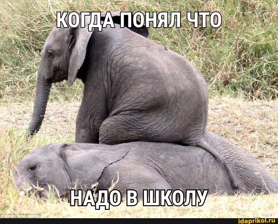 _ `КОГДА ПОНЯЛ ЧТО,