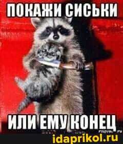 понАЖИ СИСЬКИ