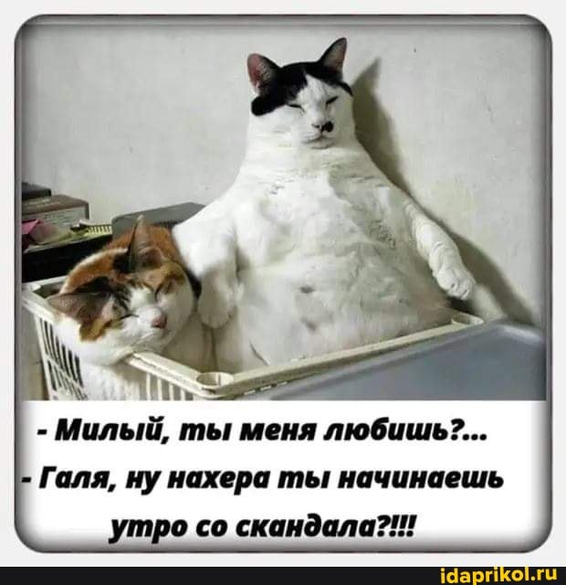 - Милый, ты меня любишь?...
Галя, ну нахера ты начинаешь о со скандала?!