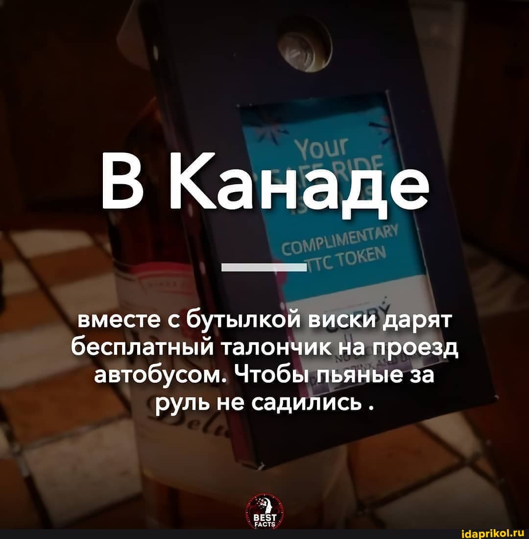 В Канаде
вместе с бутылкой виски дарят бесплатный талончик на проезд автобусом. Чтобы пьяные за руль не садились.