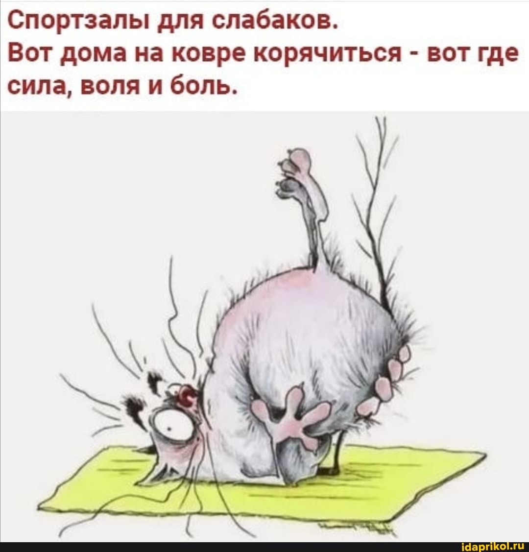 Спортзалы для слабаков.
Вот дома на ковре корячиться - вот где сила, воля и боль.
