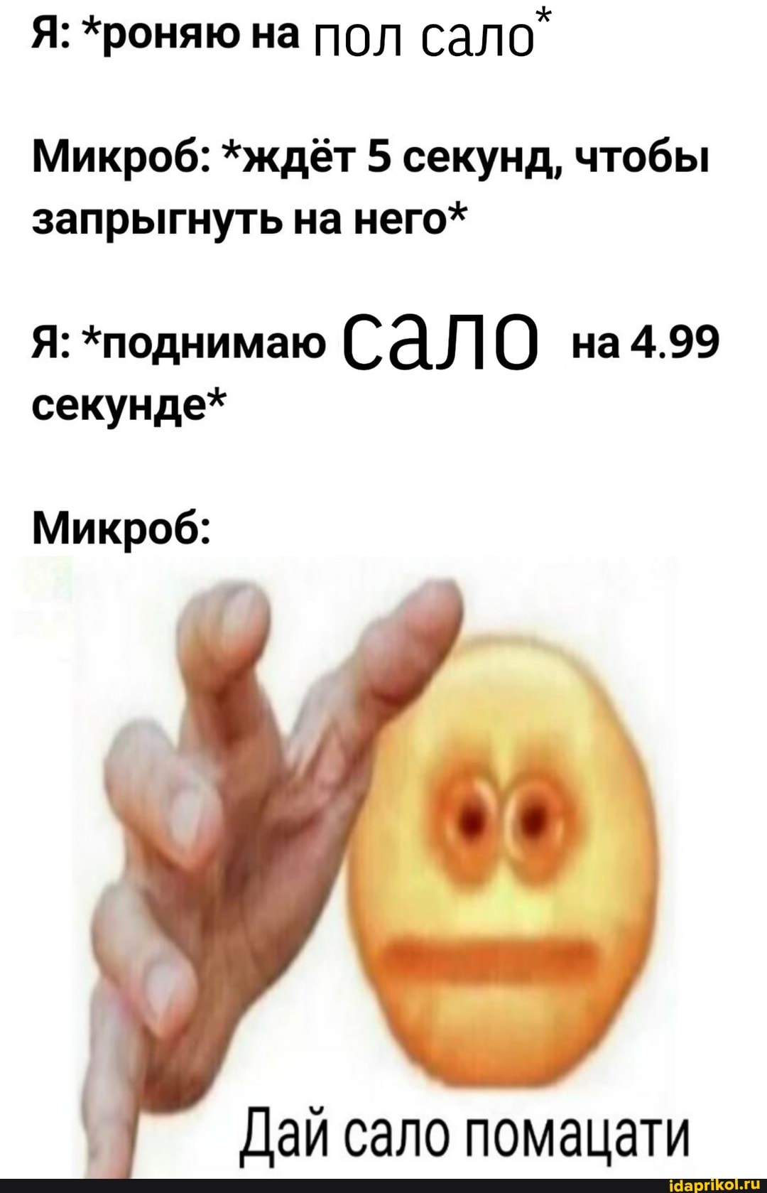 Я: *роняю на пол
сало"
Микроб: *ждёт 5 секунд, чтобы
запрыгнуть на него*
Я: *поднимаю СаЛО на4.99
секунде*
Микроб:
Дай сало помацати