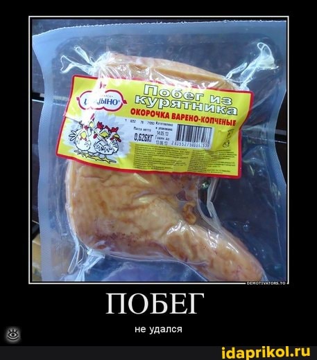 ПОБЕГ
не удался