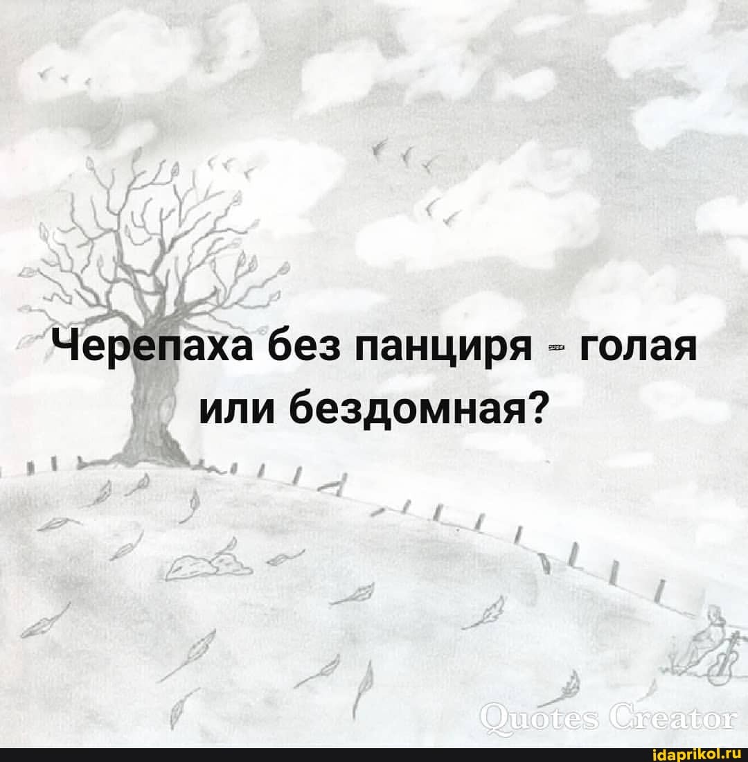 Черепаха без панциря - голая или бездомная?