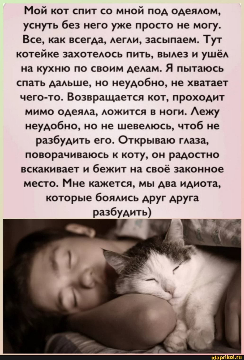 Мой кот спит со мной под одеялом, уснуть без него уже просто не могу.
Все, как всегда, легли, засыпаем. Тут котейке захотелось пить, вылез и ушёл на кухню по своим делам. Я пытаюсь спать дальше, но неудобно, не хватает чего-то. Возвращается кот, проходит мимо одеяла, ложится в ноги. Лежу неудобно, но не шевелюсь, чтоб не разбудить его. Открываю глаза, поворачиваюсь к коту, он радостно вскакивает и бежит на своё законное место. Мне кажется, мы два идиота, которые боялись друг друга разбудить)