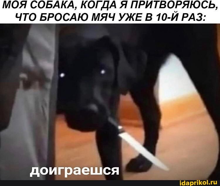 МОЯ СОБАКА, КОГДА Я ПРИТВОРЯЮСЬ,
ЧТО БРОСАЮ МЯЧ УЖЕ В 10-Й РАЗ: