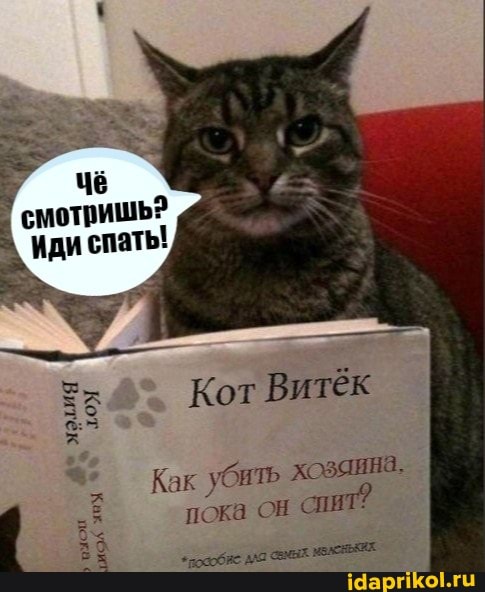 ди спать!
Кот Витёк
Как убить пока он СПИТ:
"розобие мых