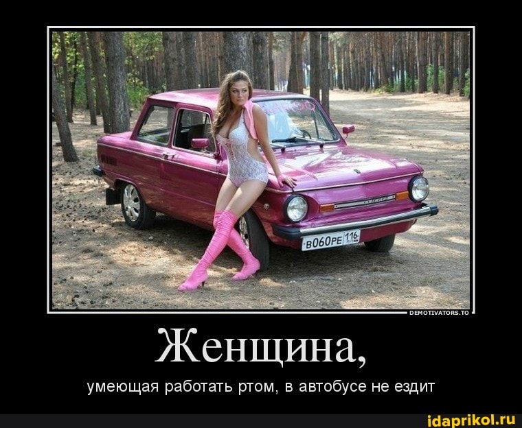 Женщина,
умеющая работать ртом. в автобусе не ездит