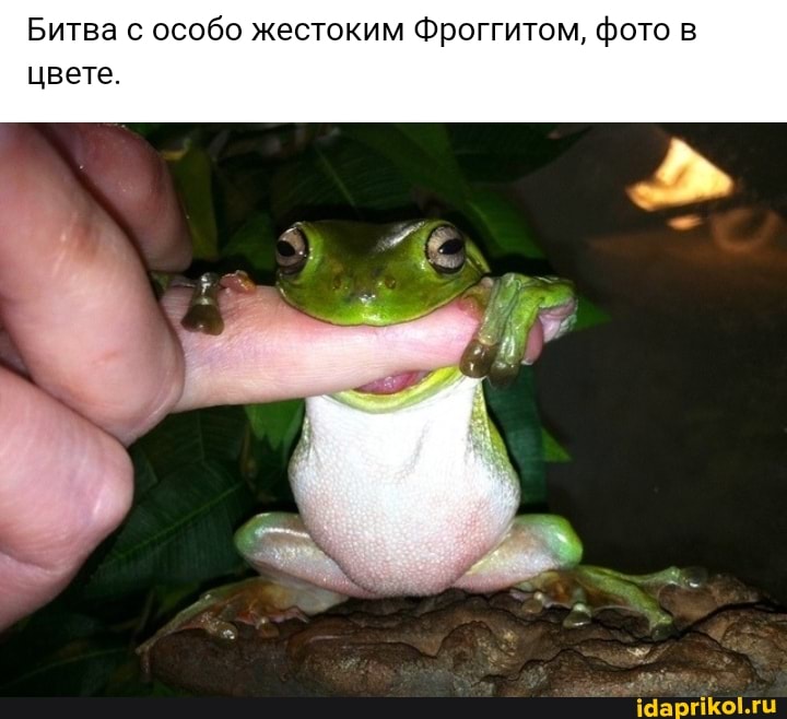 Битва с особо жестоким Фроггитом, фото в цвете.