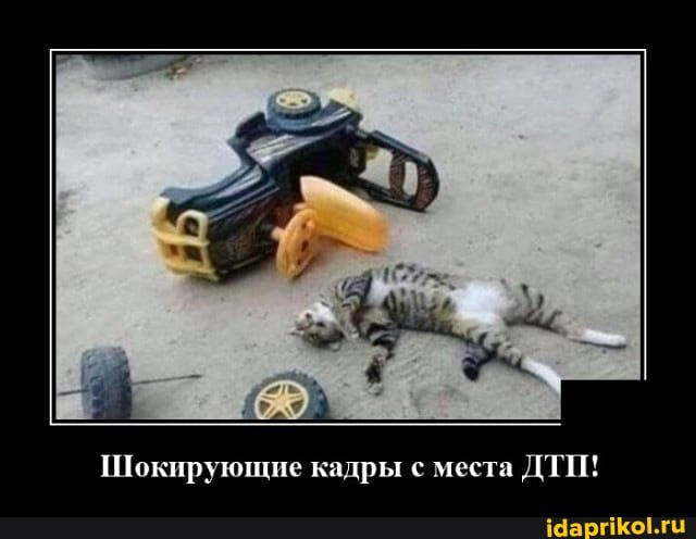 Шокирующие кадры с места ДТИ!