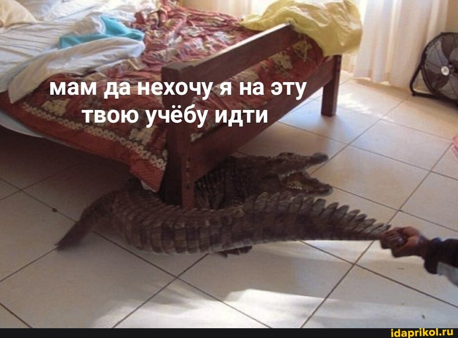 мам да-нехочу-я на эту
7
твою учёбу идти