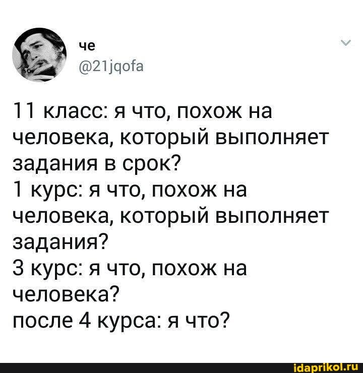 11 класс: я что, похож на человека, который выполняет задания в срок?
1 курс: я что, похож на человека, который выполняет задания?
курс: я что, похож на человека?
после 4 курса: я что?