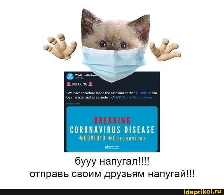 CORONAVIRUS DISEASE
бууу напугал!!!
отправь своим друзьям напугай!!!