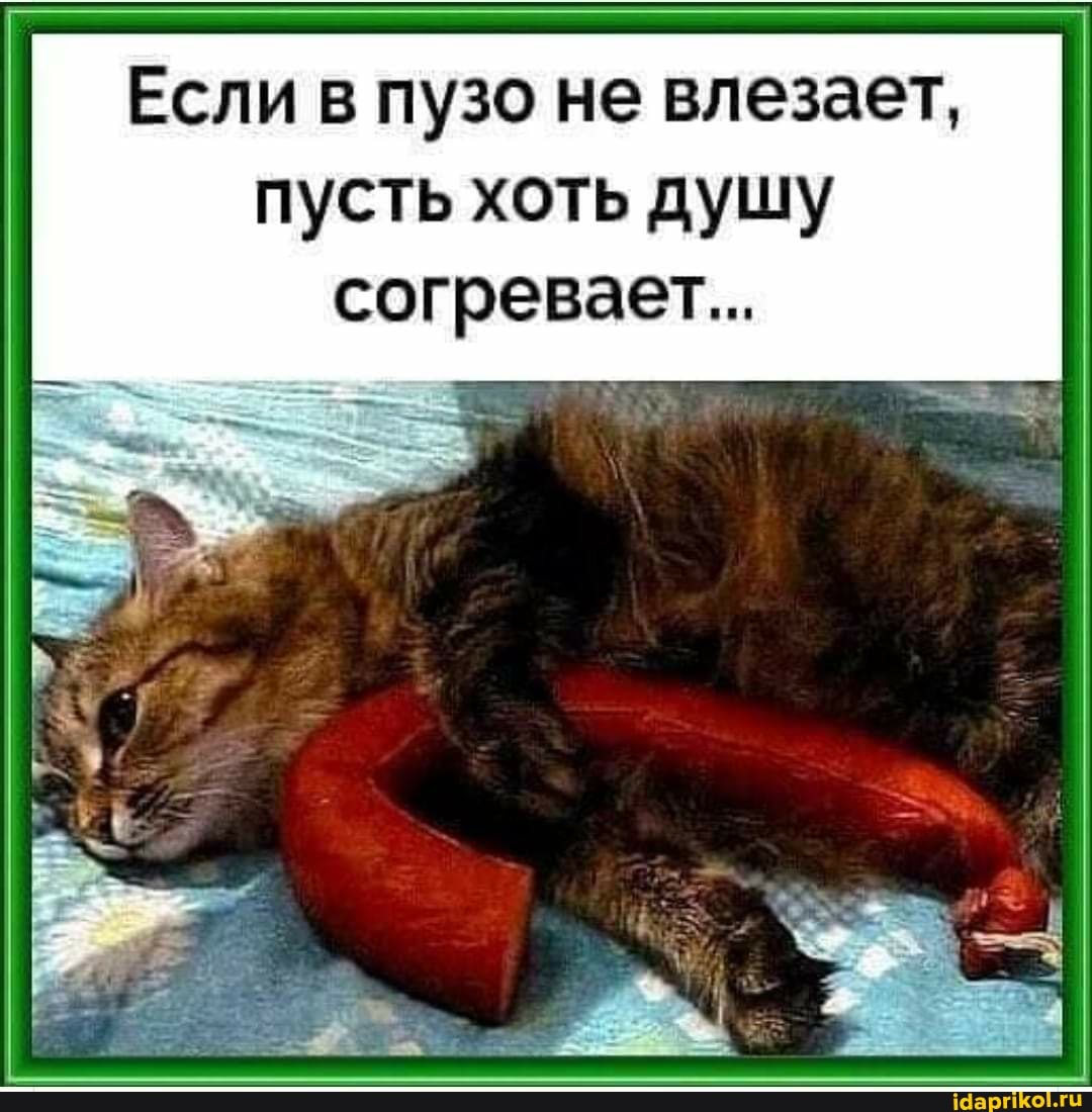 Если в пузо не влезает, пусть хоть душу согревает...