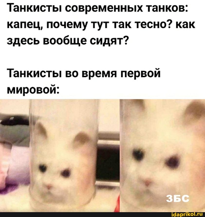 Танкисты современных танков: капец, почему тут так тесно? как здесь вообще сидят?
Танкисты во время первой
ЗБС
мировой: