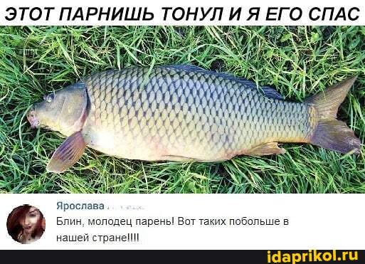 ЭТОТ ПАРНИШЬ ТОНУЛ И Я ЕГО СПАС
Блин, молодец парены Вот таких побольше в
нашей странейи