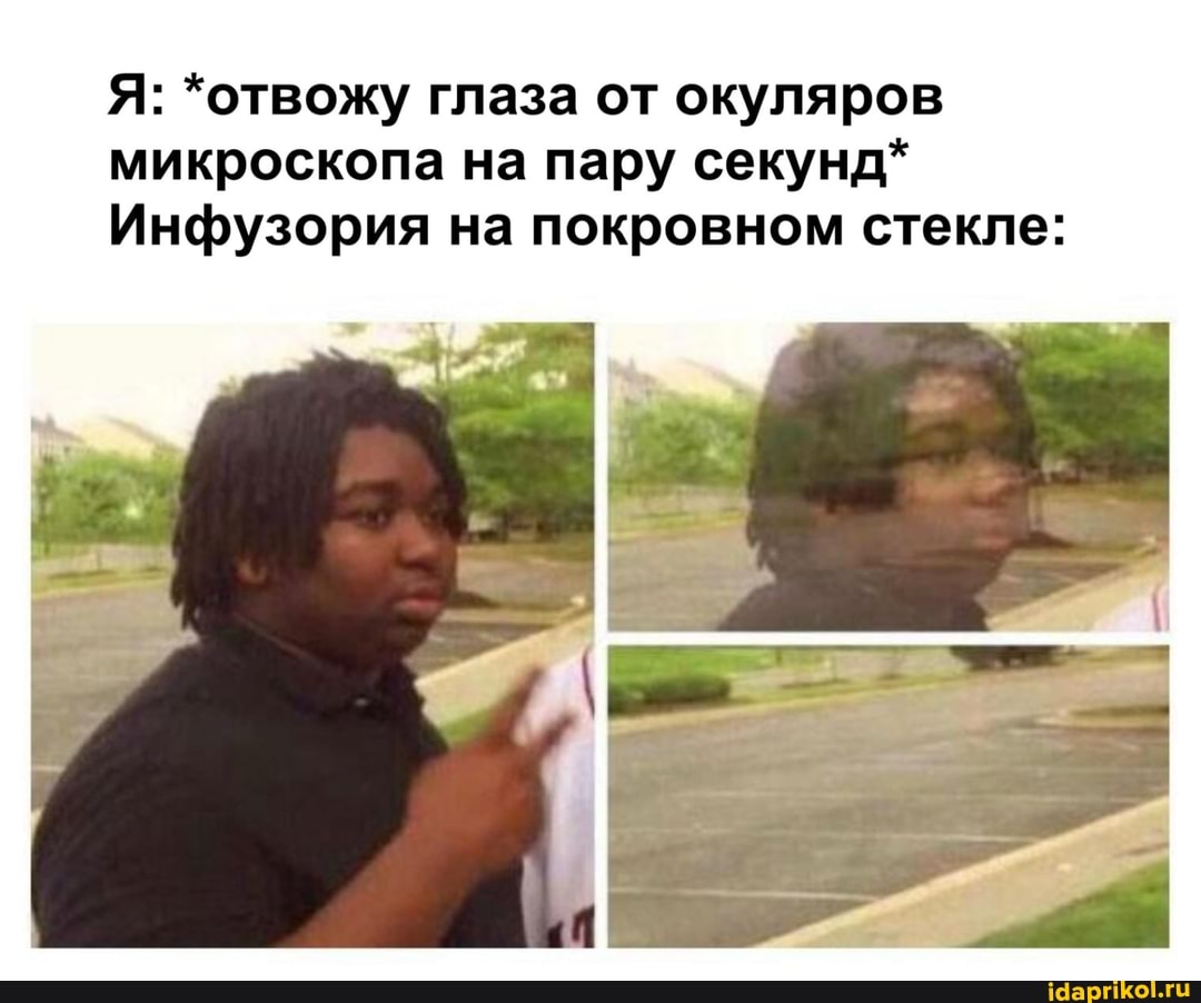 Я: *отвожу глаза от окуляров микроскопа на пару секунд*
Инфузория на покровном стекле: