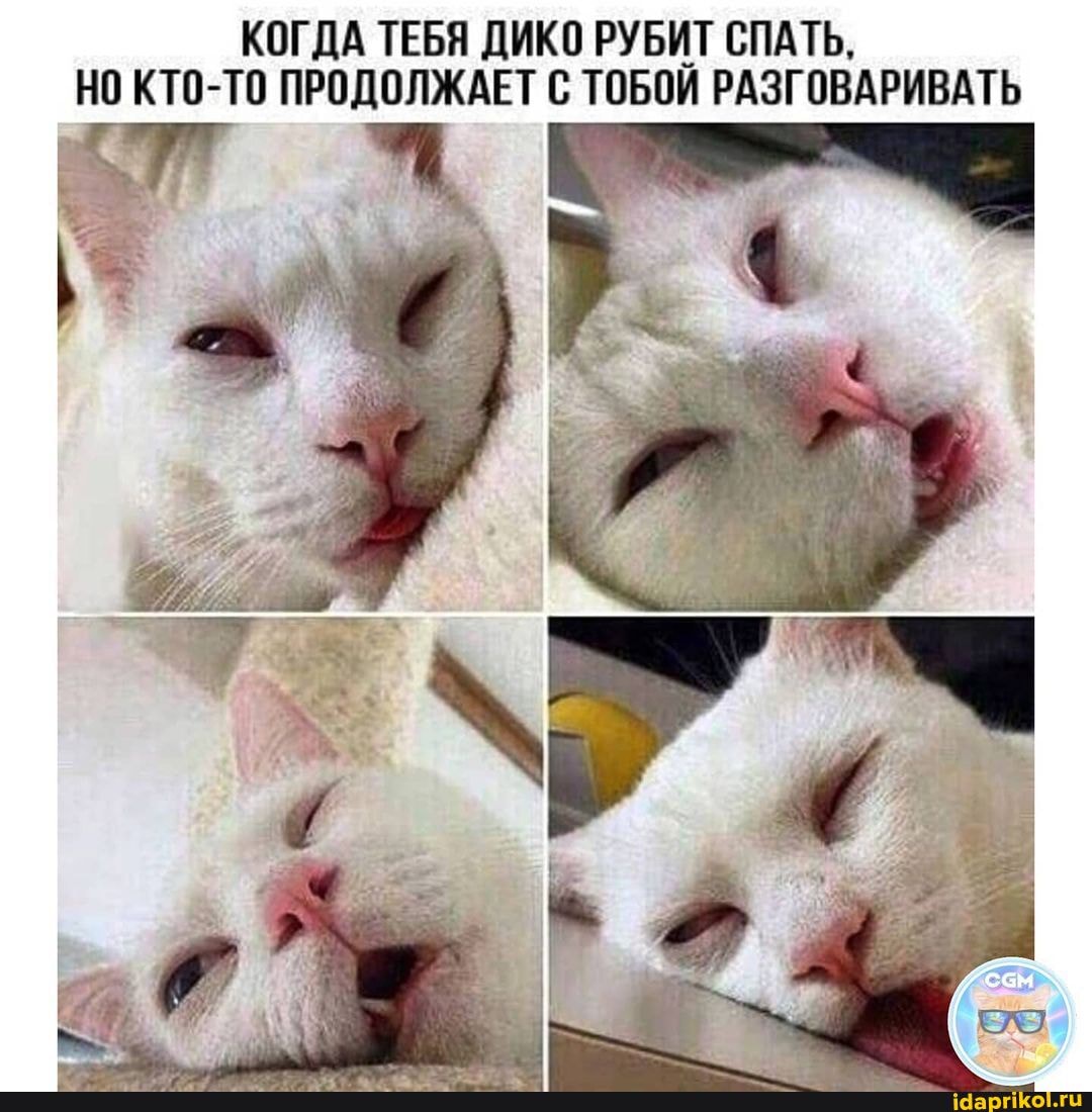 КОГДА ТЕБЯ ДИКО РУБИТ СПАТЬ,
НО КТО-ТО ПРОДОЛЖАЕТ С ТОБОЙ РАЗГОВАРИВАТЬ