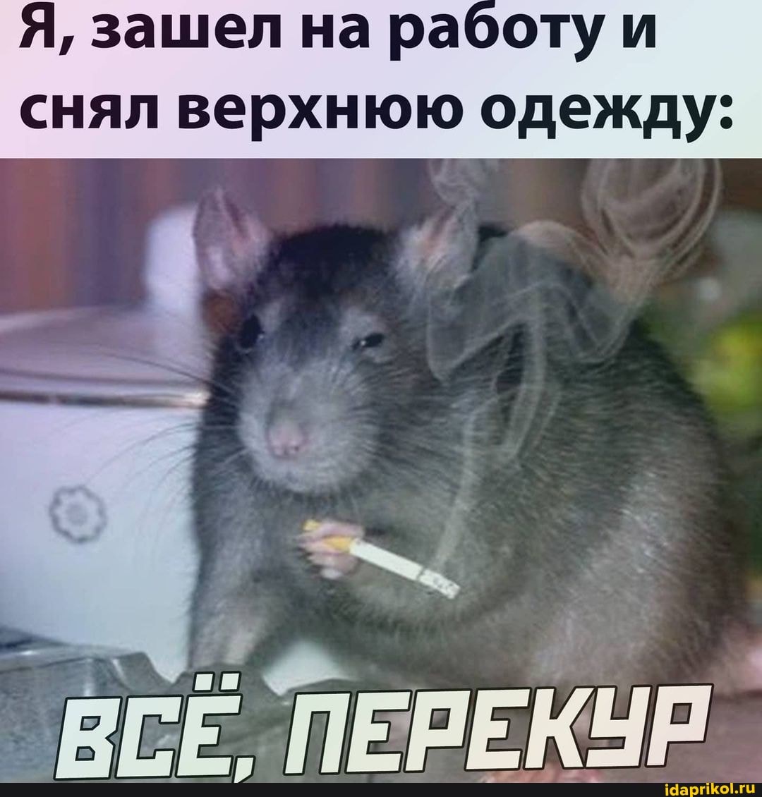 Я, зашел на работу и
снял верхнюю одежду:
`ВСЁ