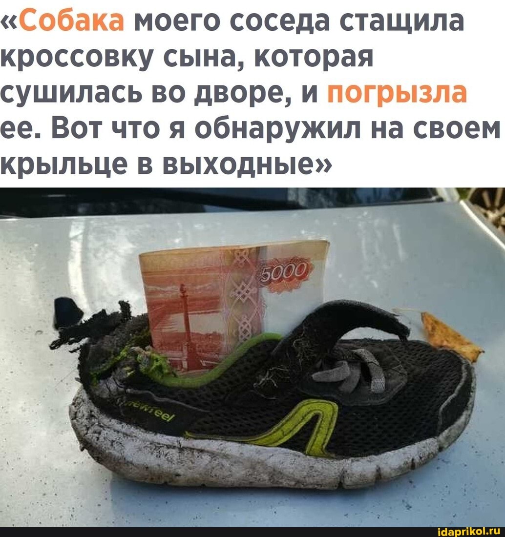 "Собака моего соседа стащила кроссовку сына, которая сушилась во дворе, и погрызла ее. Вот что я обнаружил на своем
крыльце в выходные"