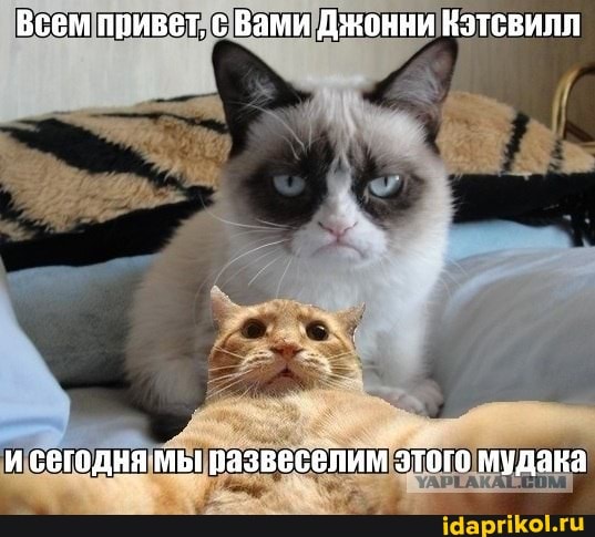 Всем привет, с Вами Дженни Кэтсвилл
и сегодня мы вазвеселим этого мудана