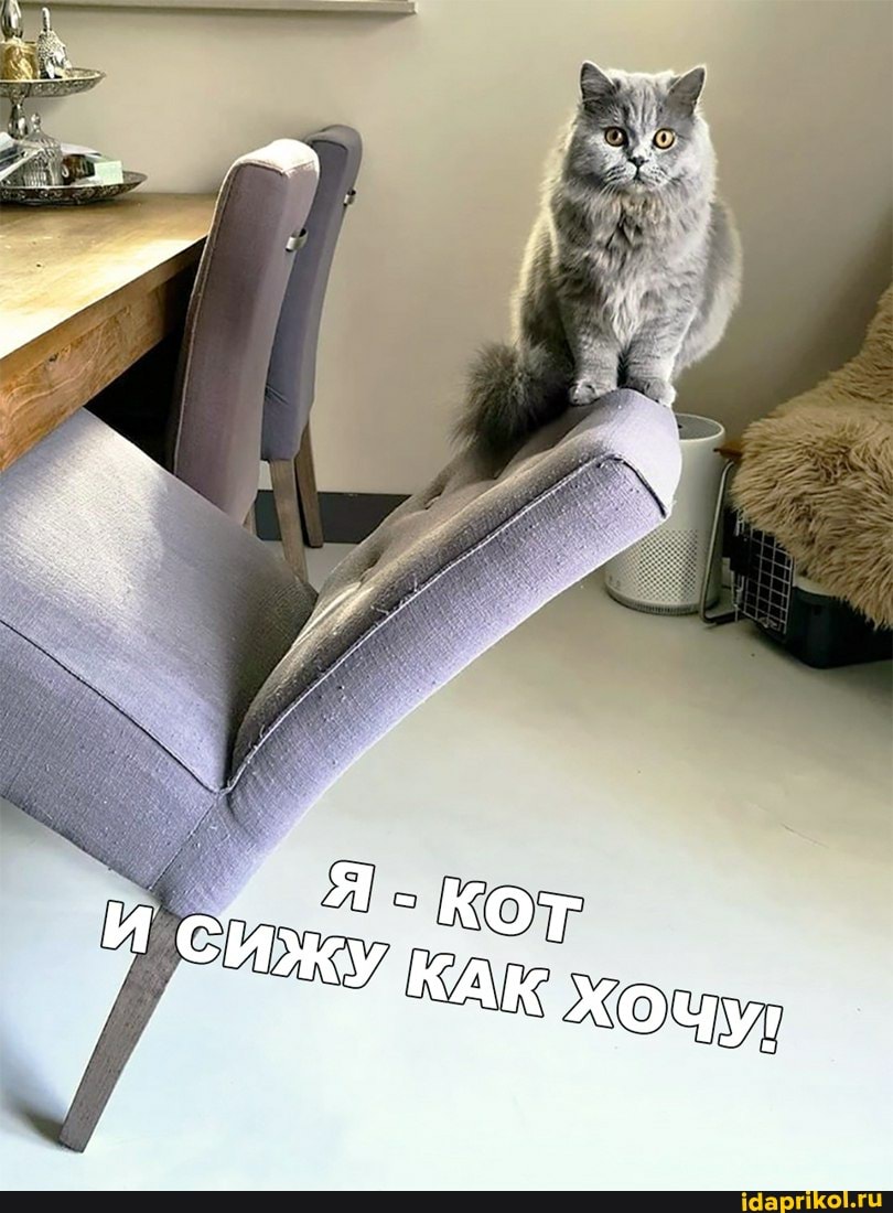 Вот это прикол! Смотреть всем!