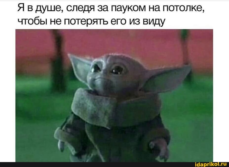 Я в душе, следя за пауком на потолке, чтобы не потерять его из виду