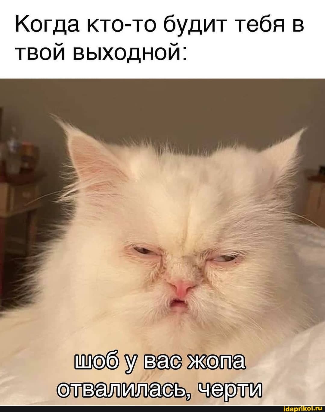 Когда кто-то будит тебя в
ТВОЙ ВЫХОДНОЙ:
шоб у вас жопа отвалилась. чеоти