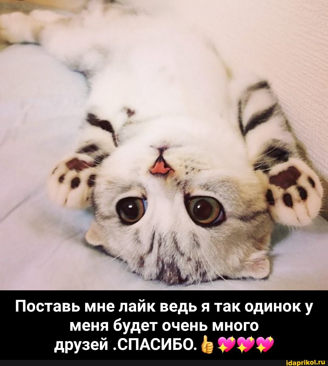 Поставь мне лайк ведь я так одинок у меня будет очень много друзей СПАСИБО. - Поставь мне лайк ведь я так одинок у меня будет очень много друзей .СПАСИБО.👍💖💖💖