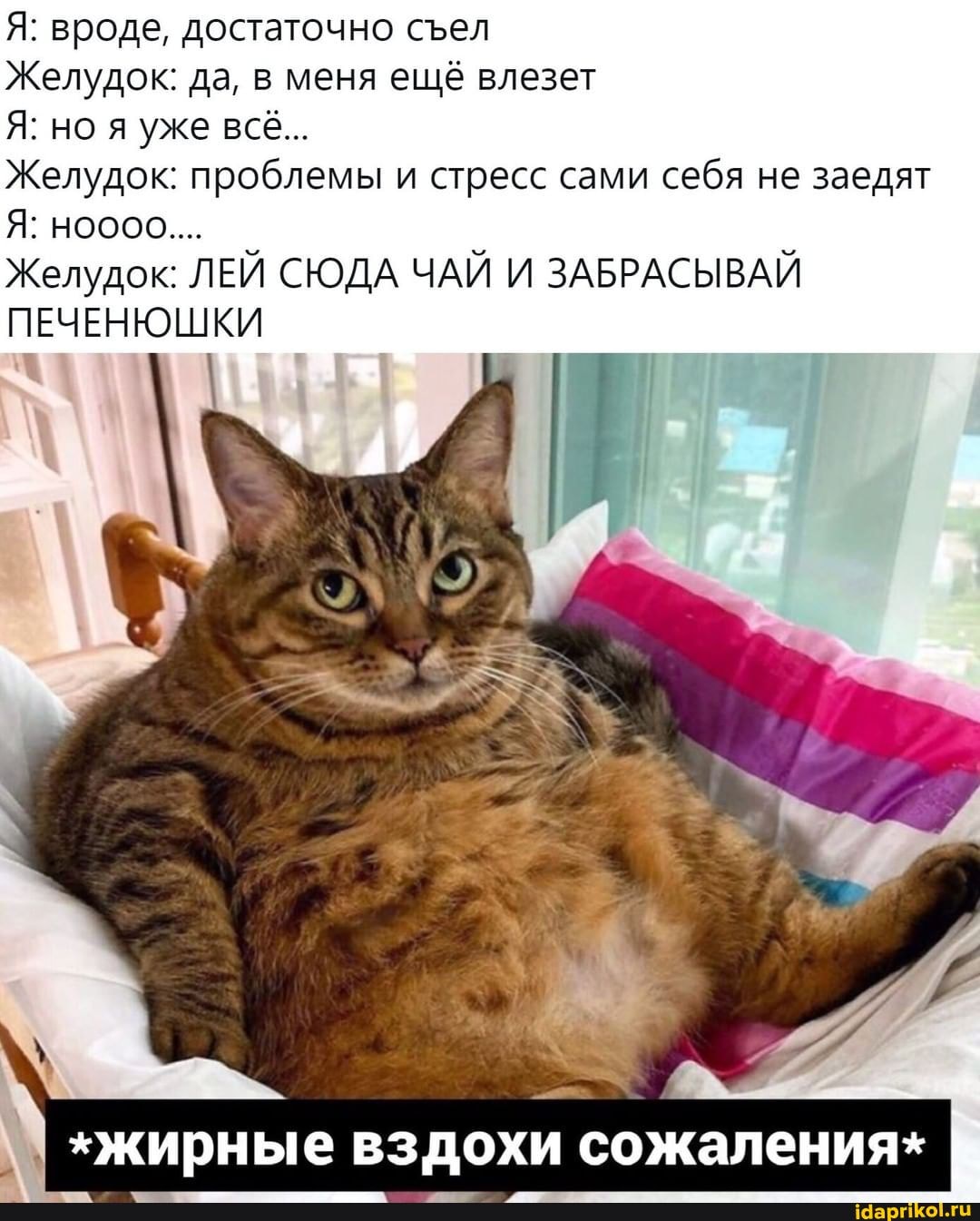 Я: вроде, достаточно сел
Желудок: да, в меня ещё влезет
Я: но я уже все...
Желудок: проблемы и стресс сами себя не заедят
Я: ноооо....
Желудок: ЛЕЙ СЮДА ЧАЙ И ЗАБРАСЫВАЙ ПЕЧЕНЮШКИ
*Жирные вздохи сожалениях