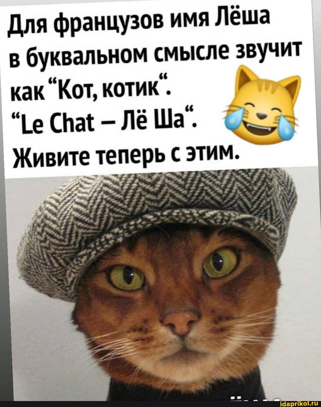 Для французов имя Лёша
в буквальном смысле звучит как "Кот, котик.
"I Спае Лё Ша.
Живите теперь с этим.