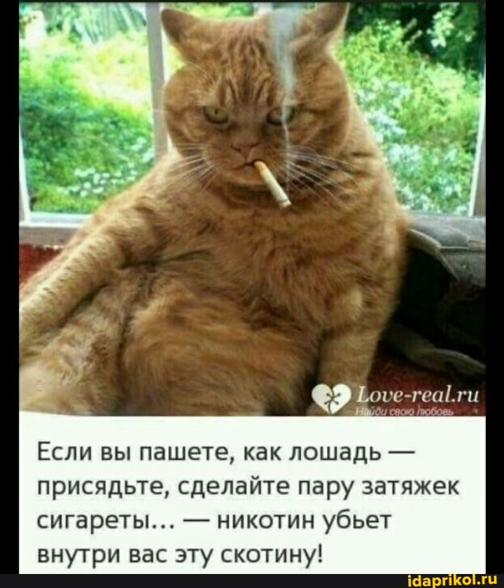 Если вы пашете, как лошадь - присядьте, сделайте пару затяжек сигареты... - никотин убьет внутри вас эту скотину!