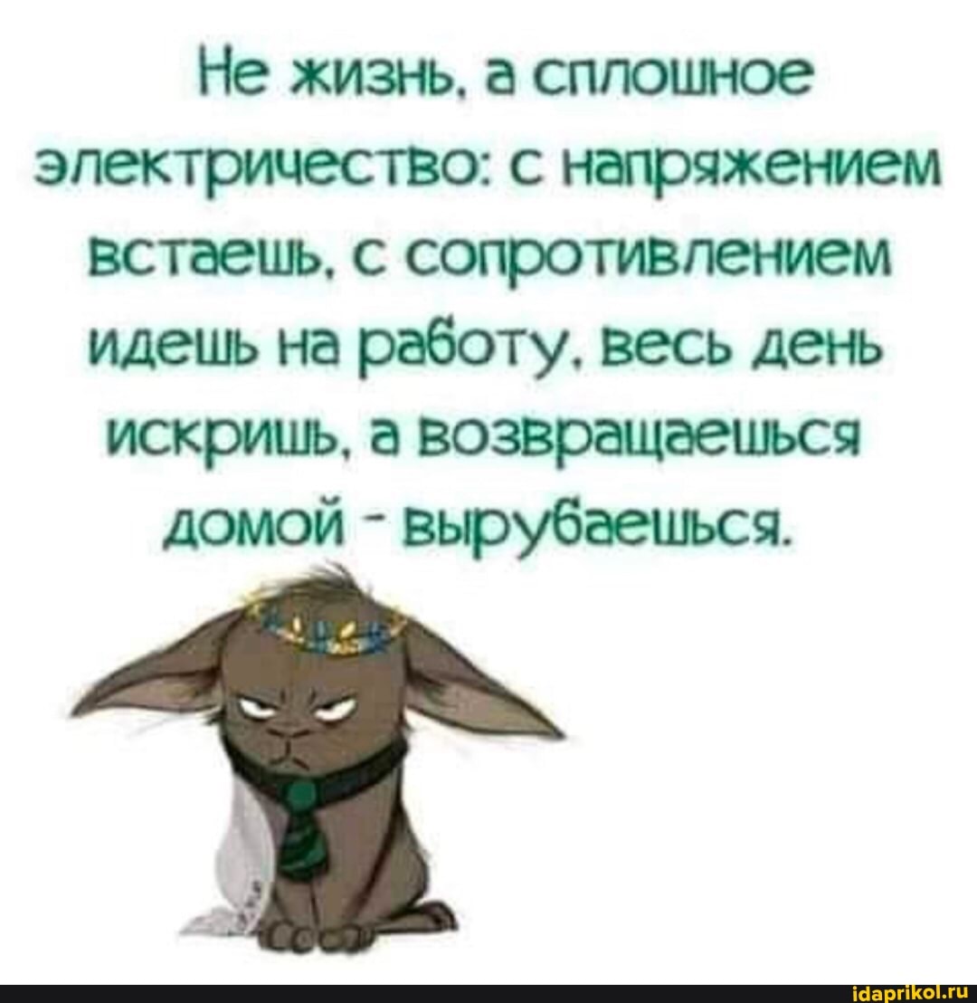 Не жизнь, а сплошное электричество: с напряжением встаешь, с сопротивлением идешь на работу, весь день искришь, а возвращаешься домой - вырубаешься.