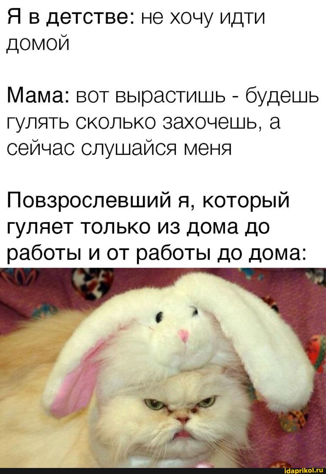 Я в детстве: не хочу идти
ДОМОЙ
Мама: вот вырастишь - будешь гулять сколько захочешь, а сейчас слушайся меня
Повзрослевший я, который гуляет только из дома до работы и от работы до дома: