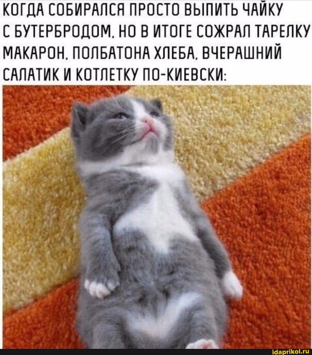 КОГДА СОБИРАЛСЯ ПРОСТО ВЫПИТЬ ЧАЙКУ
С БУТЕРБРОДОМ, НО В ИТОГЕ СОЖРАЛ ТАРЕЛКУ МАКАРОН. ПОЛБАТОНА ХЛЕБА. ВЧЕРАШНИЙ САЛАТИКИ КОТЛЕТКУ КИЕВСКИ:
