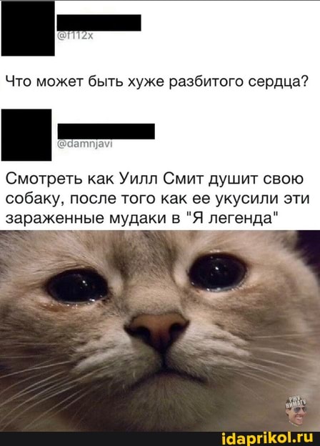 Что может быть хуже разбитого сердца?
Ш
Смотреть как Уилл Смит душит свою
собаку, после того как ее укусили эти
зараженные мудаки в "Я легенда"