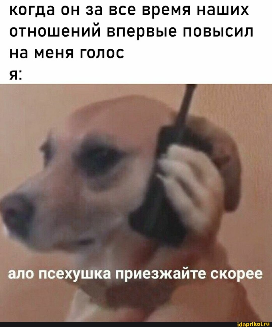 когда он за все время наших отношений впервые повысил
на меня голос
ало псехушка приезжайте скорее