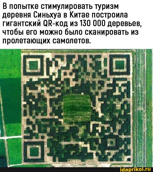 В попытке стимулировать туризм деревня Синьхуа в Китае построила гигантский ОВ-код из 130 000 деревьев, чтобы его можно было сканировать из пролетающих самолетов.