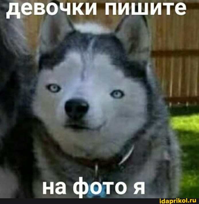 евочки пишите
на фотоя