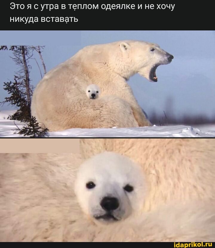 Это я с утра в теплом одеялке и не хочу
никуда вставать
со