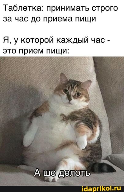 Таблетка: принимать строго за час до приема пищи
Я, у которой каждый час - это прием пищи:
А шоделоть