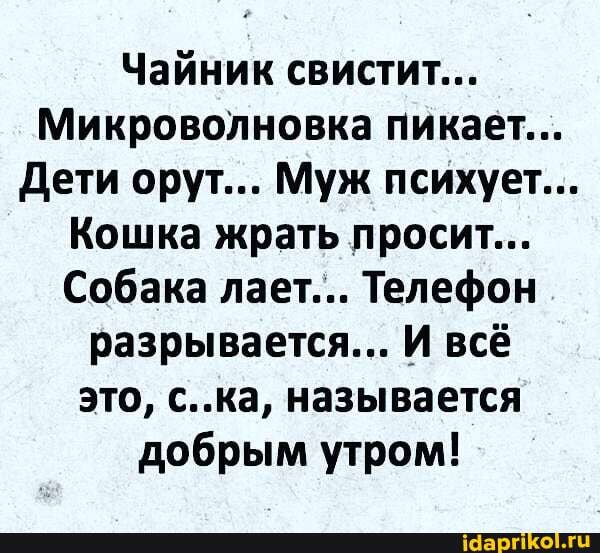 Чайник свистит...
Микроволновка пикает...
Дети орут... Муж психует...
Кошка жрать просит...
Собака лает... Телефон
разрывается... И всё
это, с..ка, называется
добрым утром!