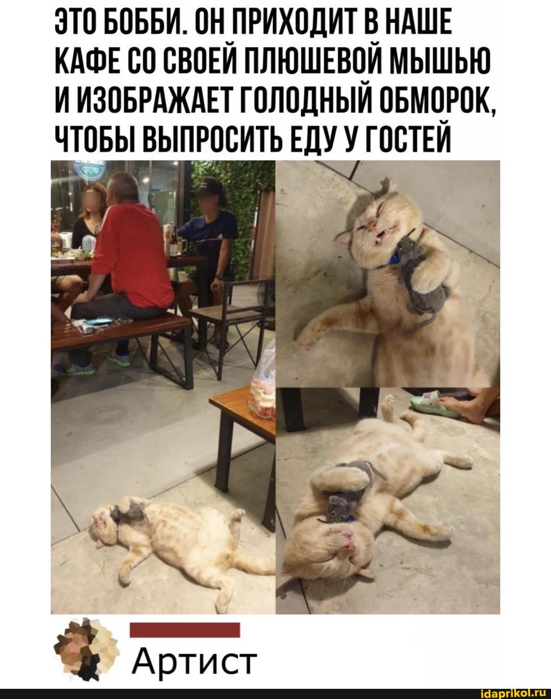 ЭТО БОББИ. ОН ПРИХОДИТ В НАШЕ
КАФЕ СВОЕЙ ПЛЮШЕВОЙ МЫШЬЮ И ИЗОБРАЖАЕТ ГОЛОДНЫЙ ОБМОРОК,
ЧТОБЫ ВЫПРОСИТЬ ЕДУ У ГОСТЕЙ