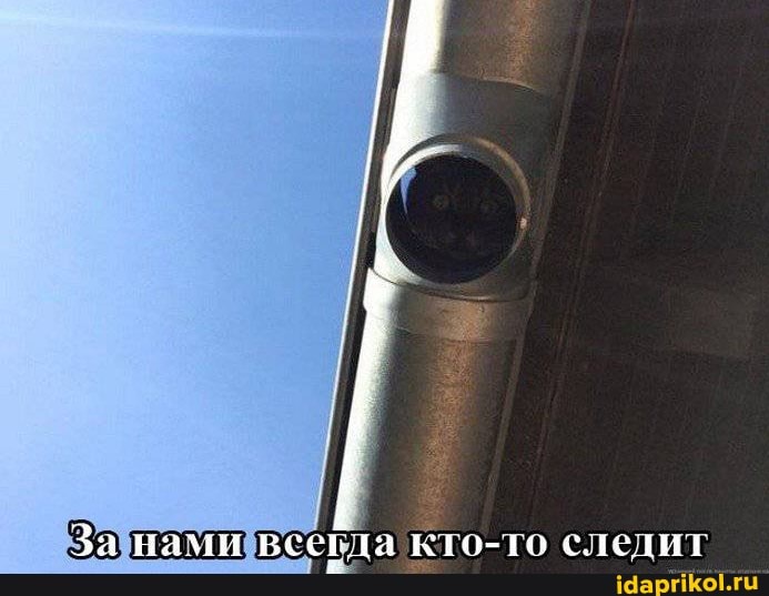 За нами кто-то следит