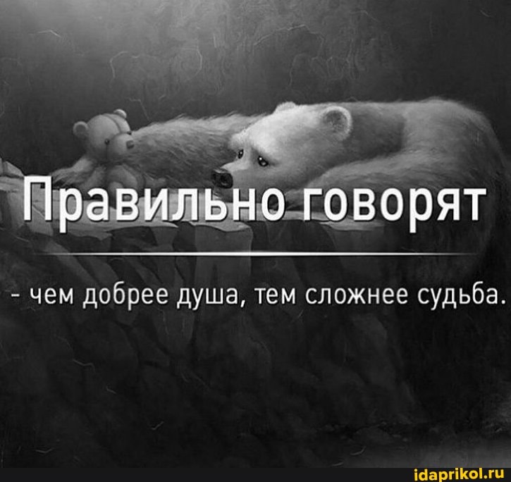 Правильно говорят
- чем добрее душа, тем сложнее судьба.