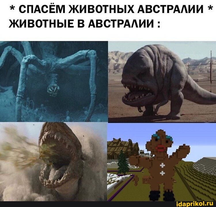 * СПАСЁМ ЖИВОТНЫХ АВСТРАЛИИ *
ЖИВОТНЫЕ В АВСТРАЛИИ :